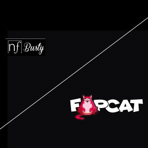 NF Busty Porn Videos at FapCat